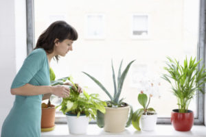 Asthma Woman Spraying Plants Shutterstock 144544280