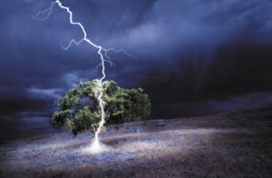 Lightning Hitting Tree