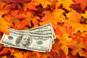 Cost Autumn Leaves And Money Shutterstock 38159113